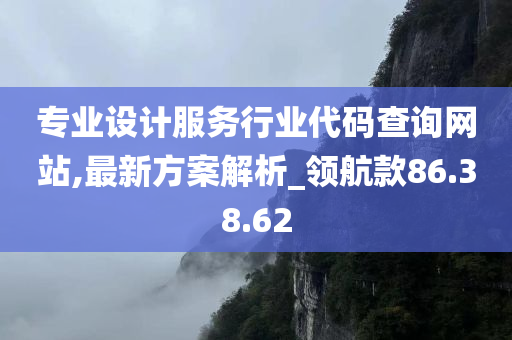 专业设计服务行业代码查询网站,最新方案解析_领航款86.38.62