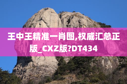 王中王精准一肖图,权威汇总正版_CXZ版?DT434