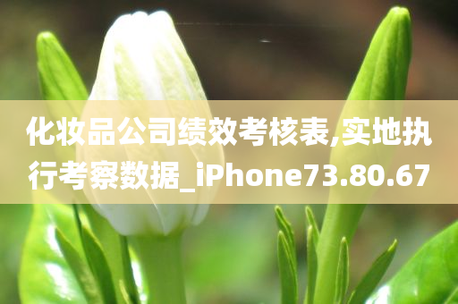 化妆品公司绩效考核表,实地执行考察数据_iPhone73.80.67