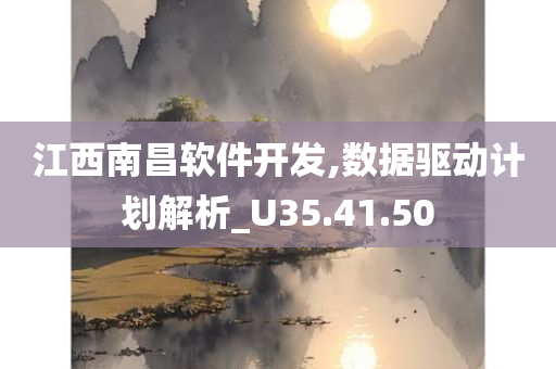 江西南昌软件开发,数据驱动计划解析_U35.41.50