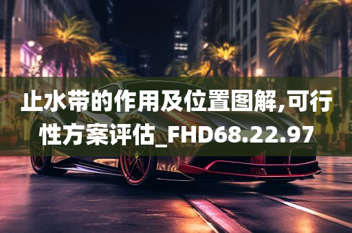 止水带的作用及位置图解,可行性方案评估_FHD68.22.97