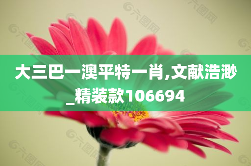 大三巴一澳平特一肖,文献浩渺_精装款106694