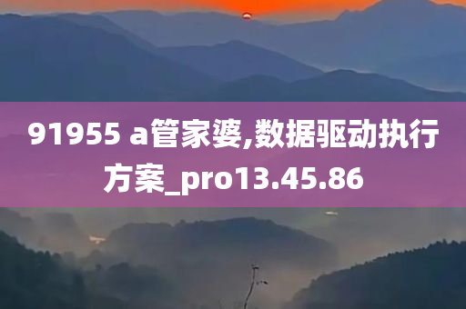 91955 a管家婆,数据驱动执行方案_pro13.45.86