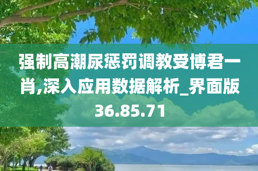 强制高潮尿惩罚调教受博君一肖,深入应用数据解析_界面版36.85.71