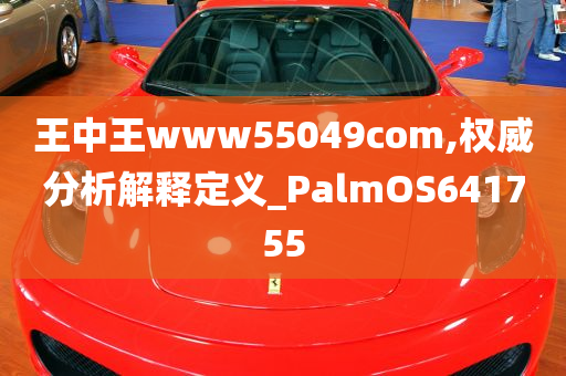 王中王www55049com,权威分析解释定义_PalmOS641755