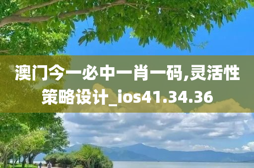 澳门今一必中一肖一码,灵活性策略设计_ios41.34.36