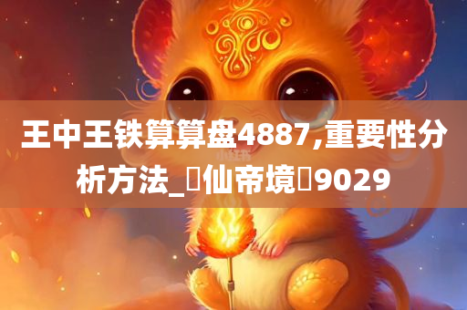 王中王铁算算盘4887,重要性分析方法_‌仙帝境‌9029