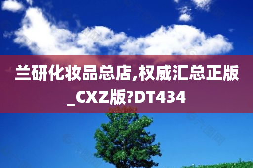 兰研化妆品总店,权威汇总正版_CXZ版?DT434