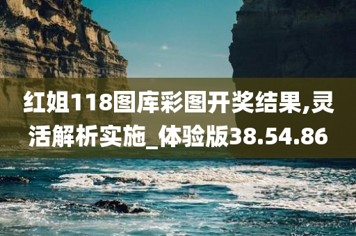 红姐118图库彩图开奖结果,灵活解析实施_体验版38.54.86