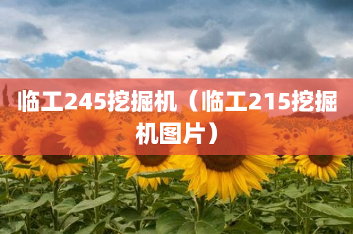 临工245挖掘机（临工215挖掘机图片）