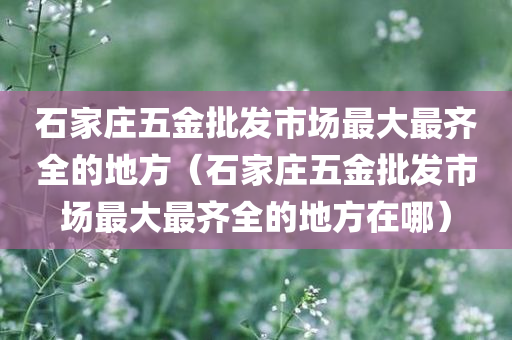 石家庄五金批发市场最大最齐全的地方（石家庄五金批发市场最大最齐全的地方在哪）