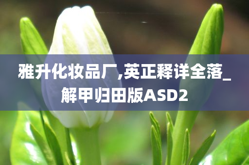 雅升化妆品厂,英正释详全落_解甲归田版ASD2