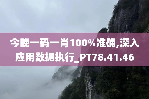 今晚一码一肖100%准确,深入应用数据执行_PT78.41.46