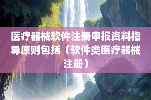 医疗器械软件注册申报资料指导原则包括（软件类医疗器械注册）