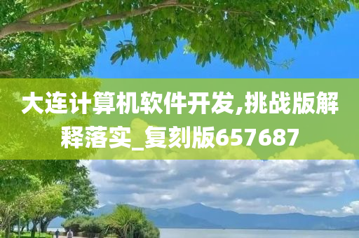 大连计算机软件开发,挑战版解释落实_复刻版657687