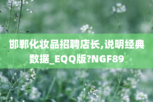 邯郸化妆品招聘店长,说明经典数据_EQQ版?NGF89