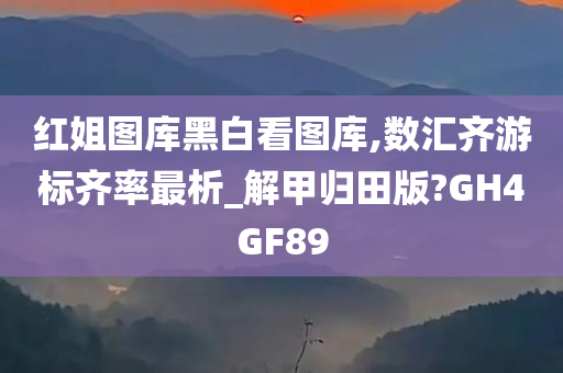 红姐图库黑白看图库,数汇齐游标齐率最析_解甲归田版?GH4GF89