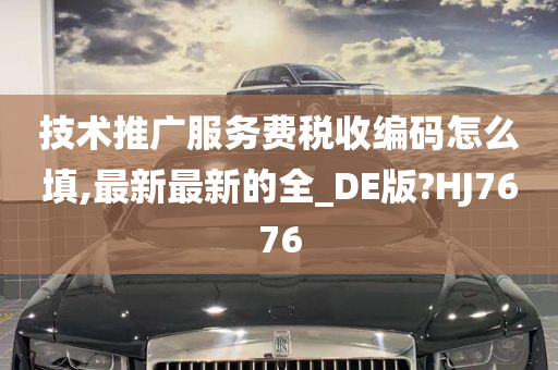 技术推广服务费税收编码怎么填,最新最新的全_DE版?HJ7676