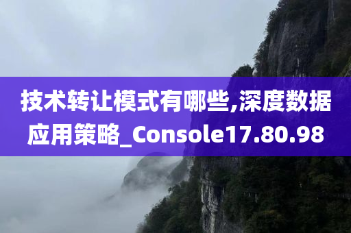 技术转让模式有哪些,深度数据应用策略_Console17.80.98