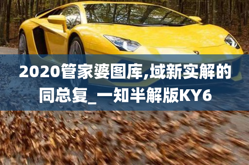 2020管家婆图库,域新实解的同总复_一知半解版KY6