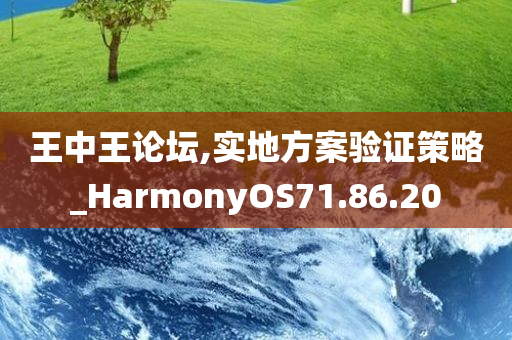 王中王论坛,实地方案验证策略_HarmonyOS71.86.20