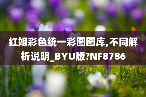 红姐彩色统一彩图图库,不同解析说明_BYU版?NF8786