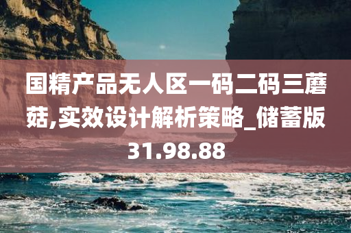 国精产品无人区一码二码三蘑菇,实效设计解析策略_储蓄版31.98.88