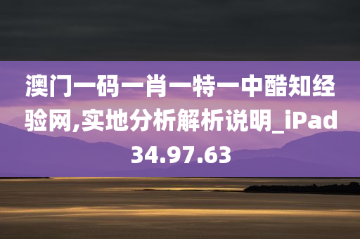 澳门一码一肖一特一中酷知经验网,实地分析解析说明_iPad34.97.63