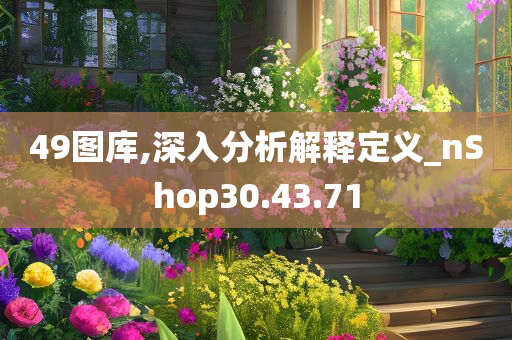 49图库,深入分析解释定义_nShop30.43.71