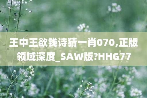 王中王欲钱诗猜一肖070,正版领域深度_SAW版?HHG77