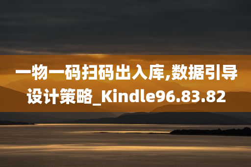 一物一码扫码出入库,数据引导设计策略_Kindle96.83.82