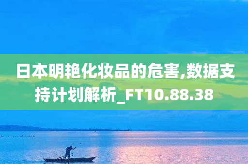 日本明艳化妆品的危害,数据支持计划解析_FT10.88.38