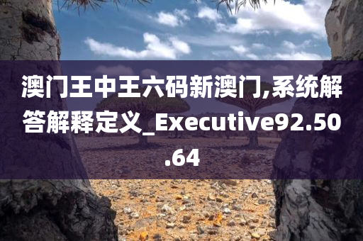 澳门王中王六码新澳门,系统解答解释定义_Executive92.50.64