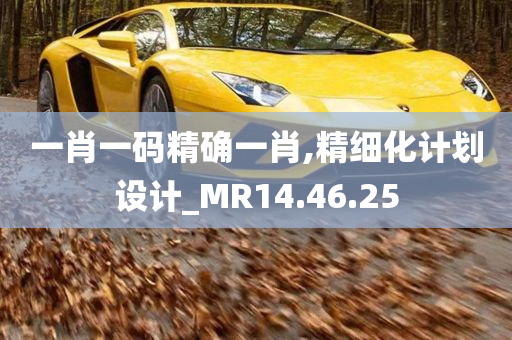 一肖一码精确一肖,精细化计划设计_MR14.46.25