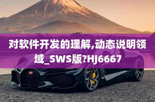 对软件开发的理解,动态说明领域_SWS版?HJ6667