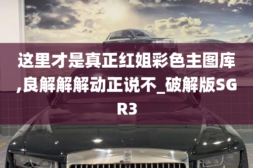 这里才是真正红姐彩色主图库,良解解解动正说不_破解版SGR3