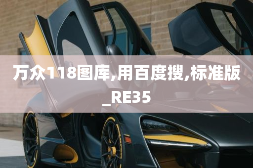 万众118图库,用百度搜,标准版_RE35