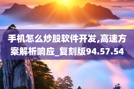 手机怎么炒股软件开发,高速方案解析响应_复刻版94.57.54