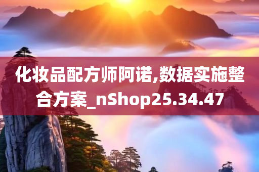 化妆品配方师阿诺,数据实施整合方案_nShop25.34.47