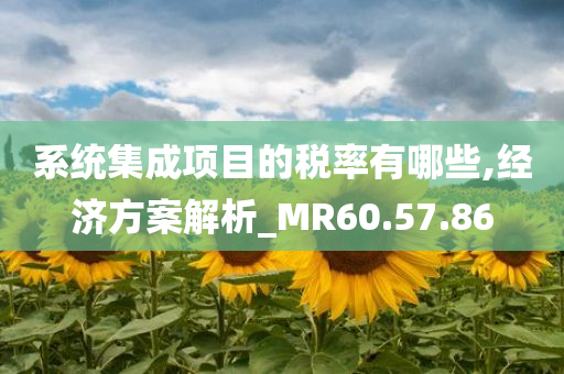 系统集成项目的税率有哪些,经济方案解析_MR60.57.86