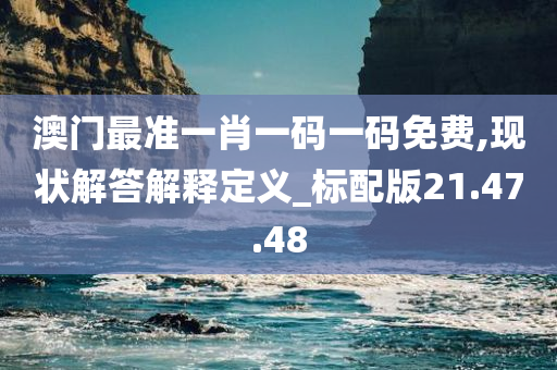 澳门最准一肖一码一码免费,现状解答解释定义_标配版21.47.48