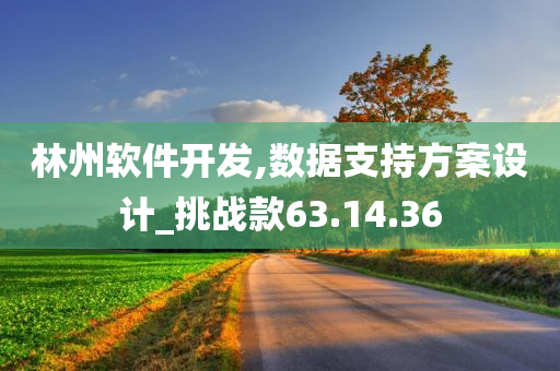 林州软件开发,数据支持方案设计_挑战款63.14.36