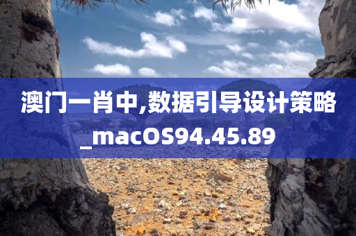 澳门一肖中,数据引导设计策略_macOS94.45.89