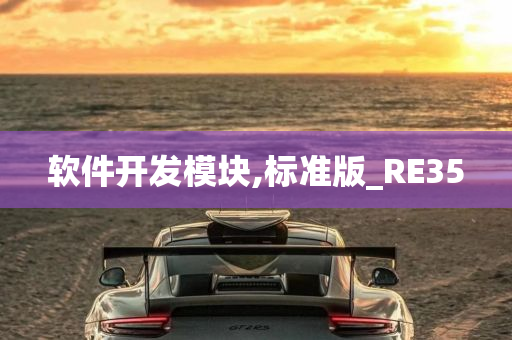 软件开发模块,标准版_RE35