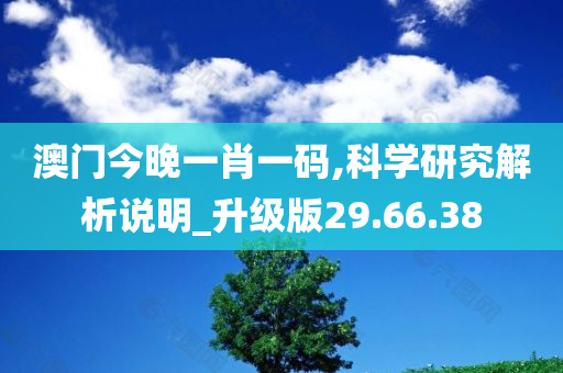 澳门今晚一肖一码,科学研究解析说明_升级版29.66.38