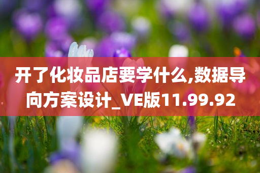 开了化妆品店要学什么,数据导向方案设计_VE版11.99.92