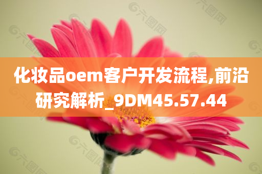 化妆品oem客户开发流程,前沿研究解析_9DM45.57.44