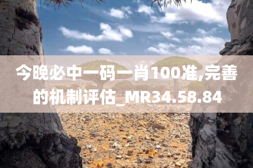 今晚必中一码一肖100准,完善的机制评估_MR34.58.84