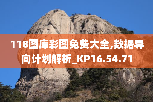 118图库彩图免费大全,数据导向计划解析_KP16.54.71