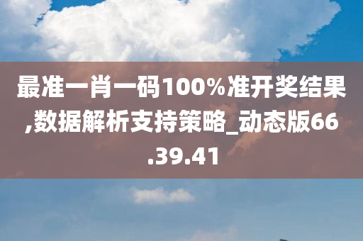 最准一肖一码100%准开奖结果,数据解析支持策略_动态版66.39.41